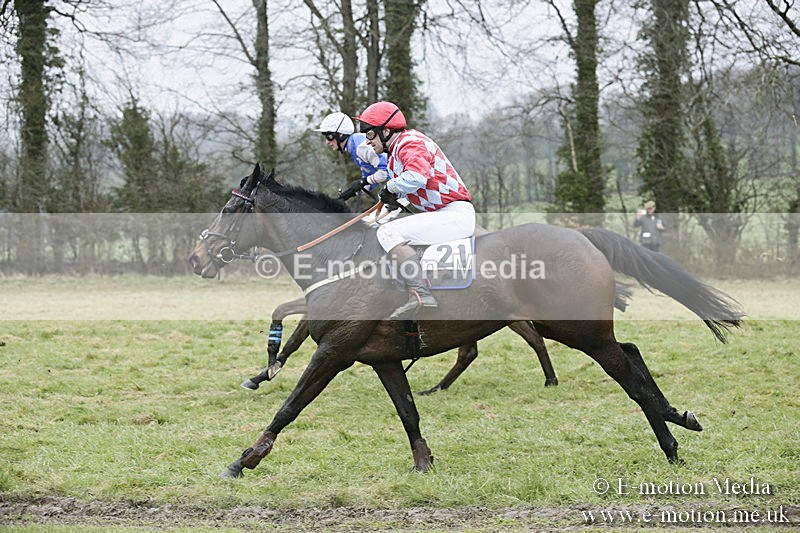 PtP 020418 -237 - Old Berks Point-to-Point Races Easter Monday 02/04/18