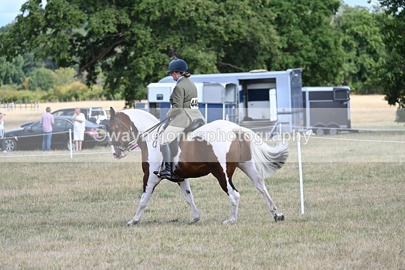 WJ7_7250 - Class 14 Ridden Coloured