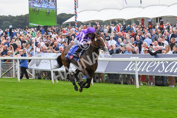 230823-Race 3-Continuous-0462 - Race 3 3.00pm Sky Bet Great Voltigeur Stakes