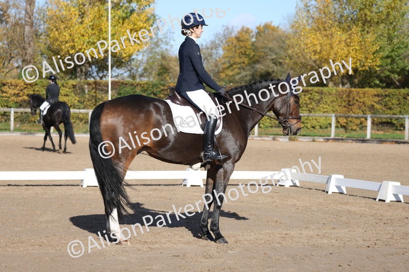 20251102-0749 - Class 4 - Novice 6