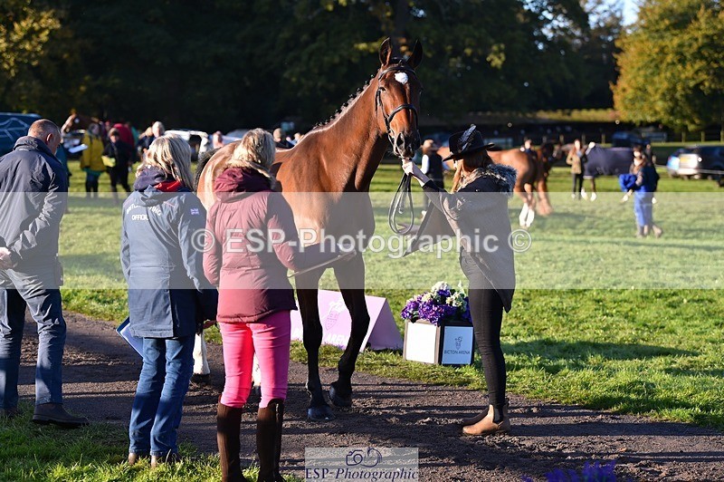 231022-090304-21529 - 627-UNNAMED.(815881)-Pollyanne.Adams-TrotUp+SJ