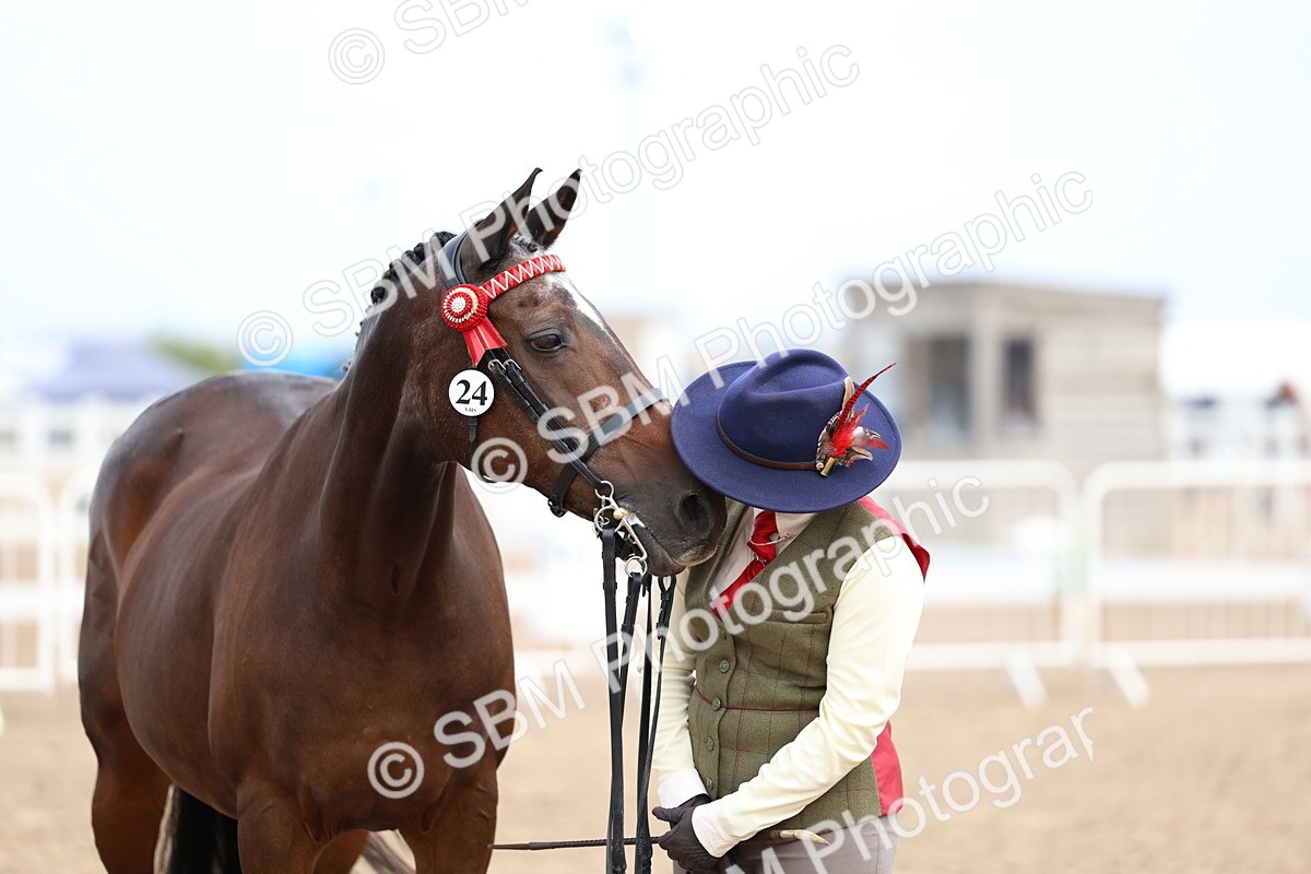 SBM_01505 - Class 17 - Prettiest Mare