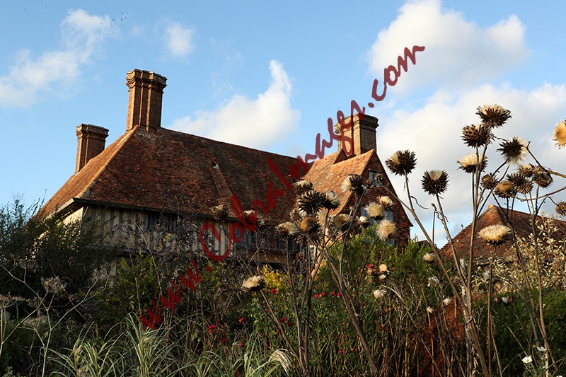 18 - Great Dixter, early November 2020
