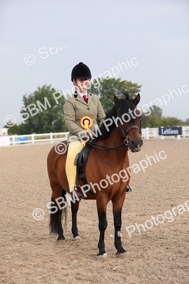 SBM_09691 - Class 301 Ridden M&M -Small Breeds