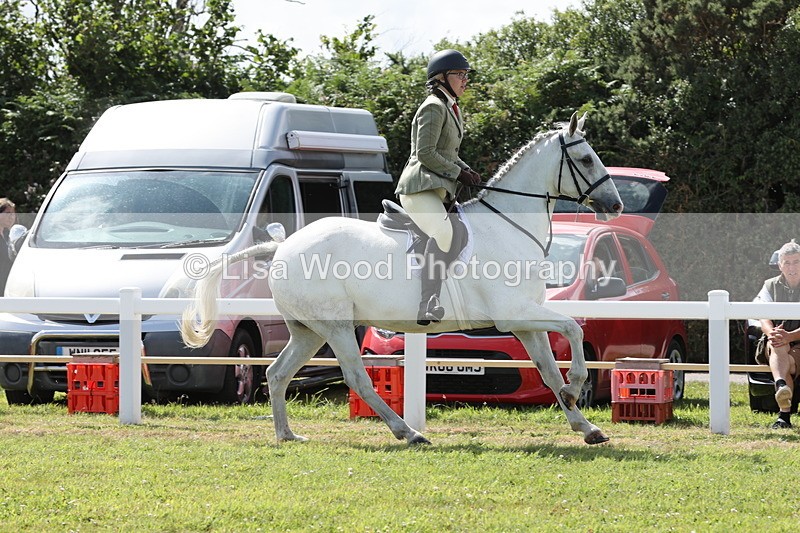 JPP_2430 - Class 19: Working Hunter 60cm