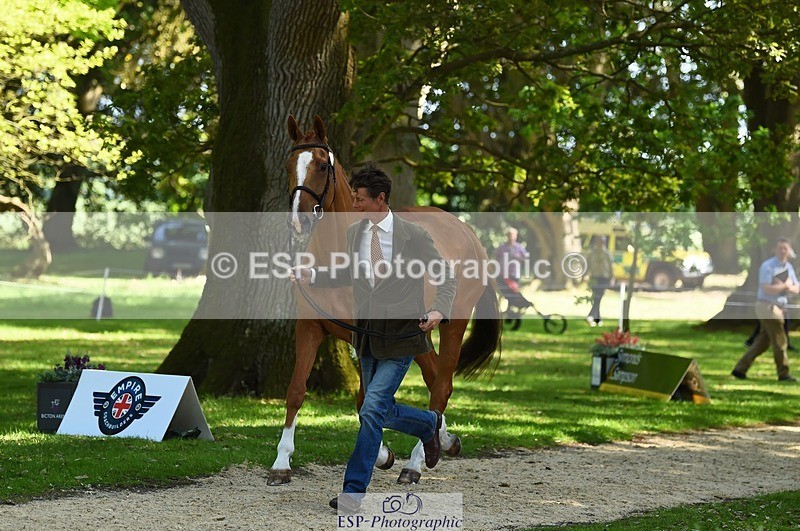 230524-154708-00497 - 370-DUKE_LEGACY-William_Fox-Pitt-WEDTrotUp+DR