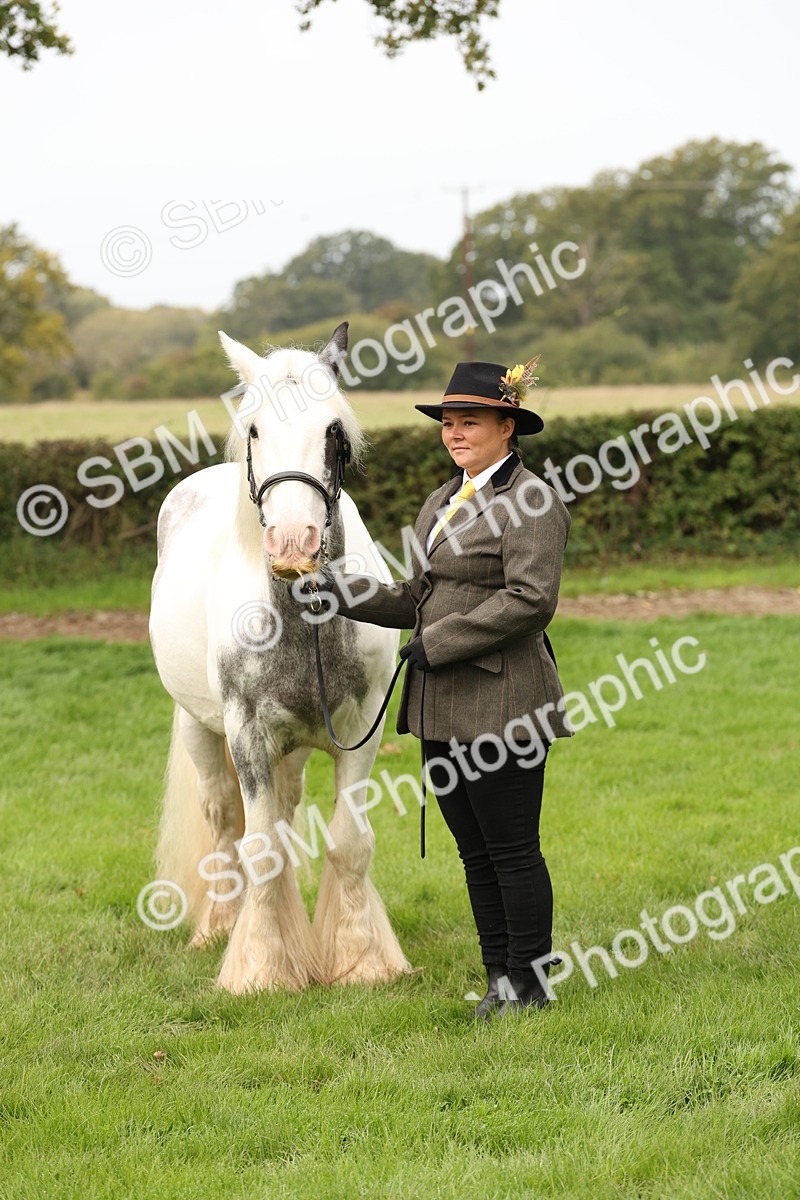 SBM_59310 - S57 - Traditional Cob In Hand