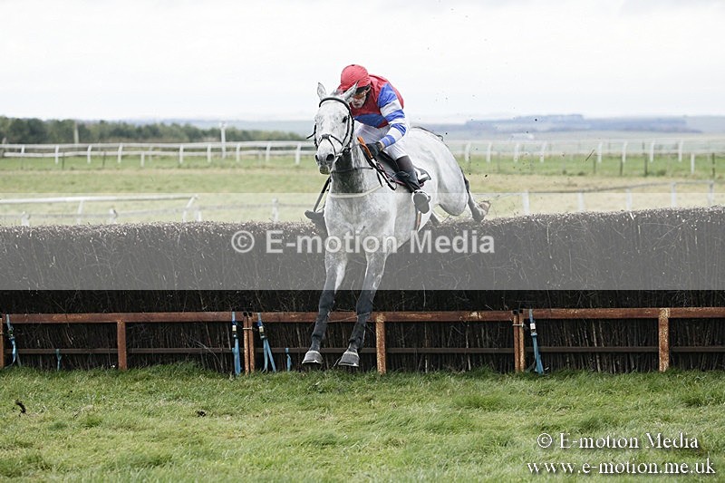PtP 031217 309 - Hursley Hambledon Point-to-Point Larkhill 03/12/17