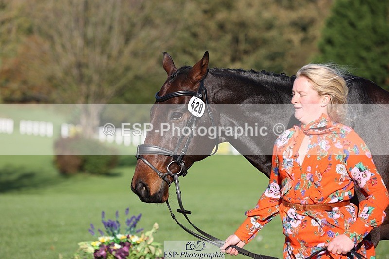 241027-092832-15324 - 420-Pip.Howarth-OTTAVA