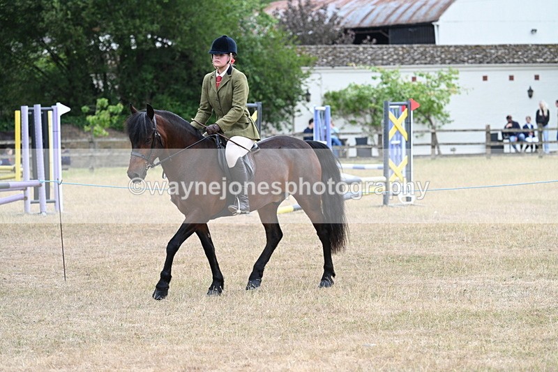 WJ7_0308 - Class 6 Ridden Mountain and Moorland