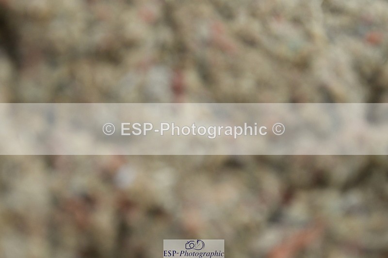 230701A-091948-04087 - Cls 6 Music Novice