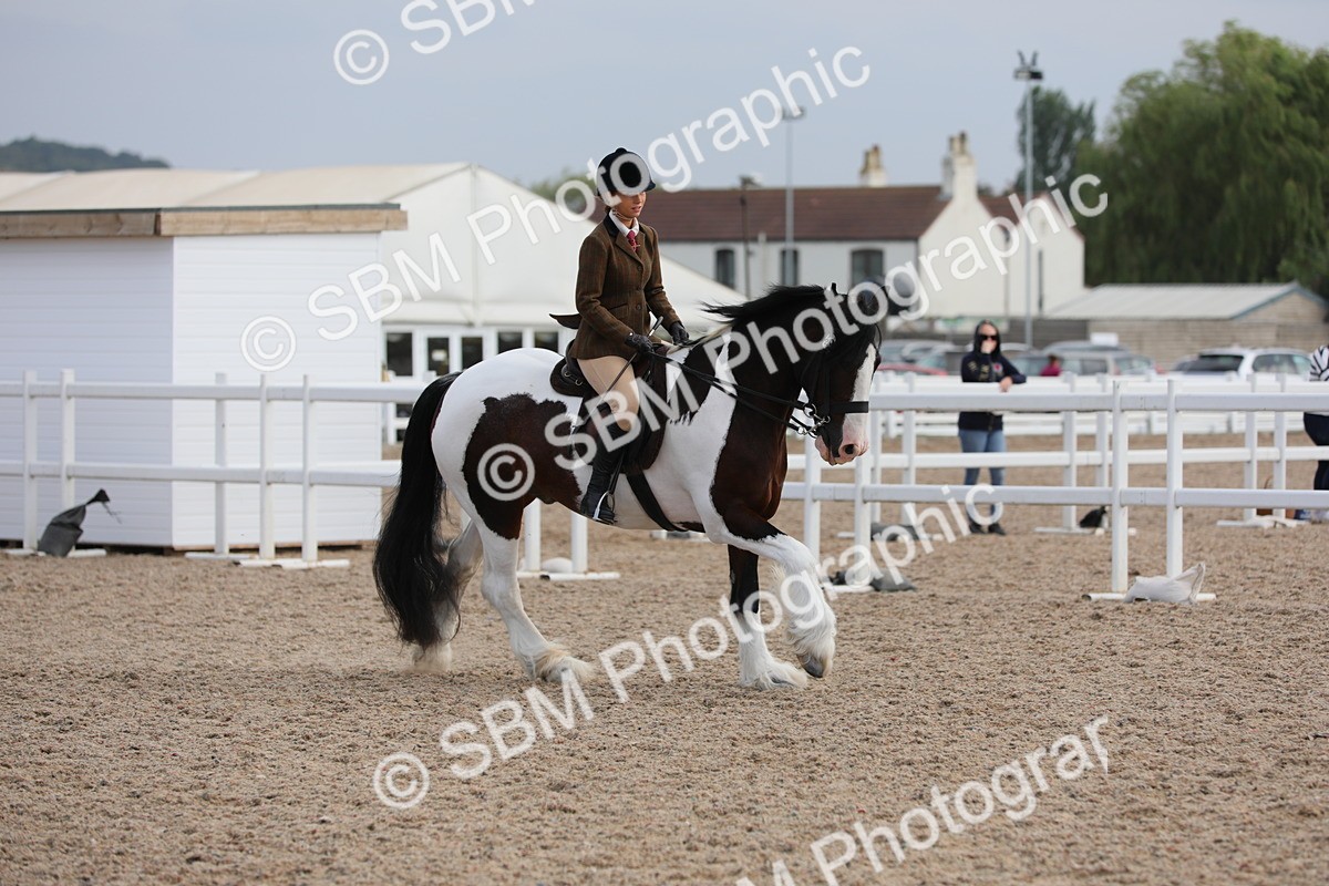 SBM_17768 - Class 315 Best Horse/Rider Combination