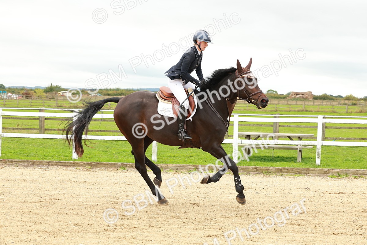 1I0A6841 - Class 2 - Senior British Novice