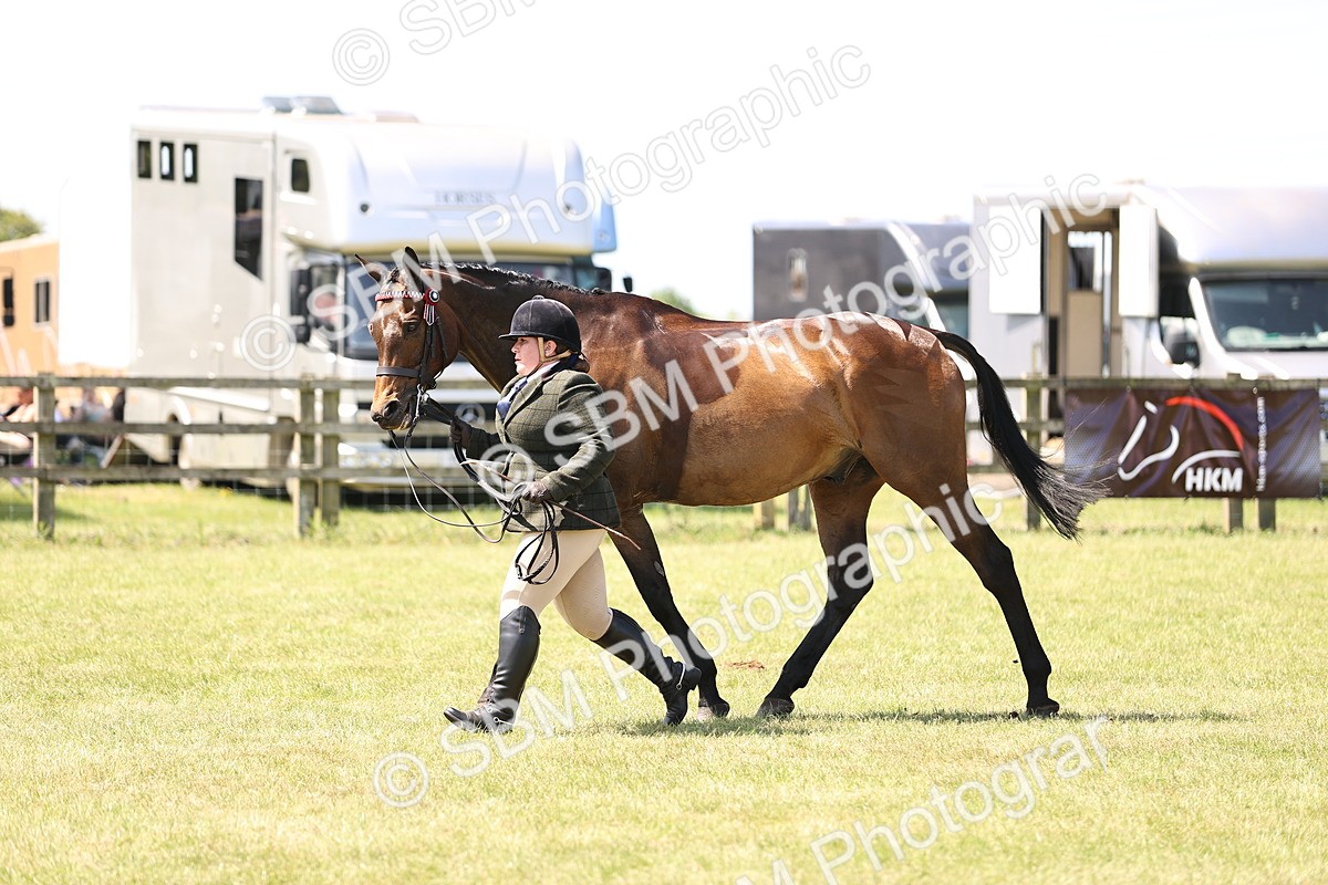 SBM_14967 - Class 78 - LIHS BSHA Open Racehorse & Show Horse