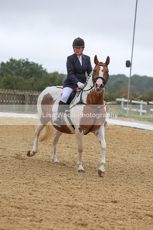 3E7A4803 - Class 1: Intro 4 2024 section A