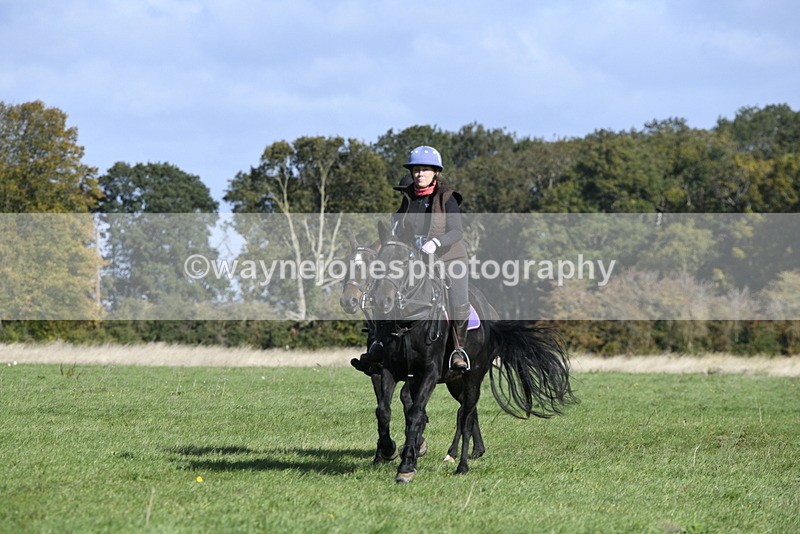 _DSC5310 - Time 10:49 to 11:23