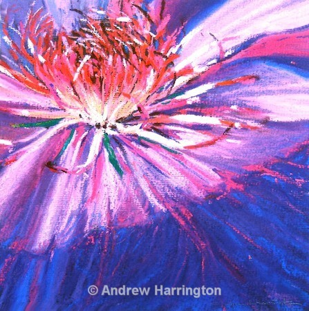 purple haze - Paintings 7