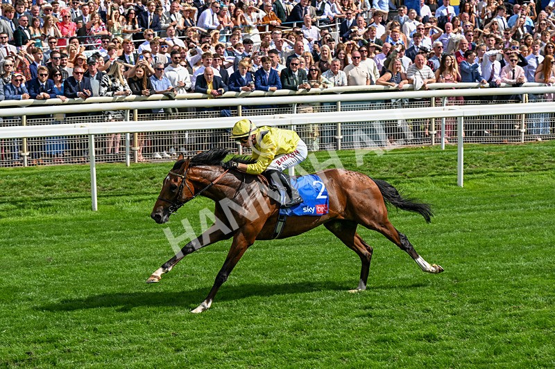 220826-Race 2-Infraad-0313 - Race 2 14.25pm Sky Bet Melrose Handicap