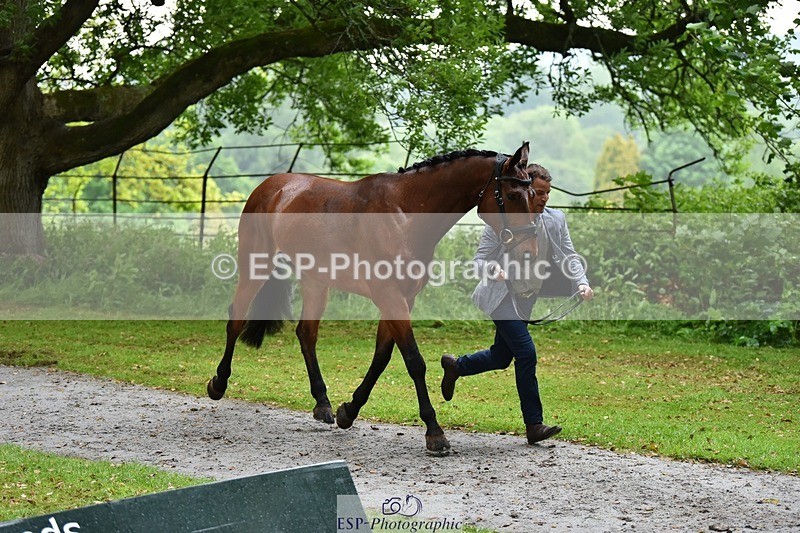 240522-162204-00864 - 231-DHI_ROCK_DANCER-Roberto_Scalisi