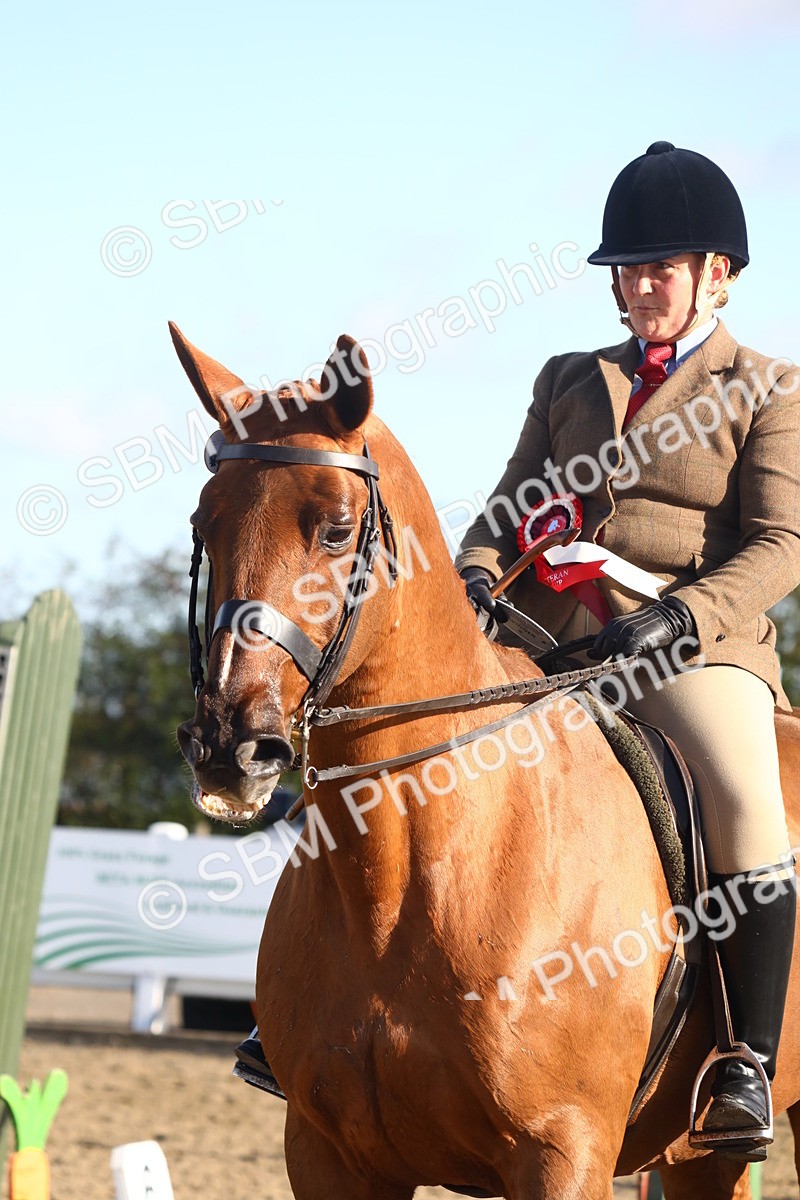 SBM_08602 - Class 502 - Riding Club Horse
