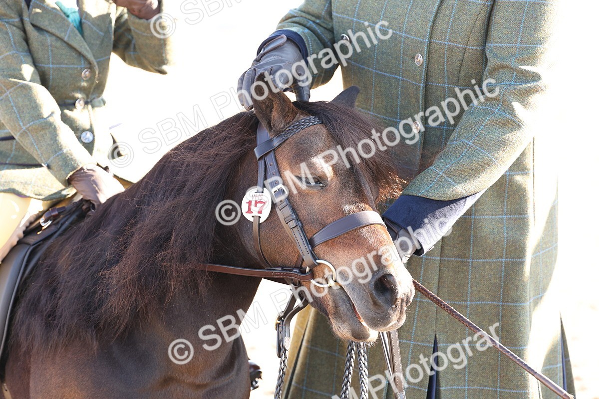 SBM_10857 - Class 202 - Best Turned Out - Ridden