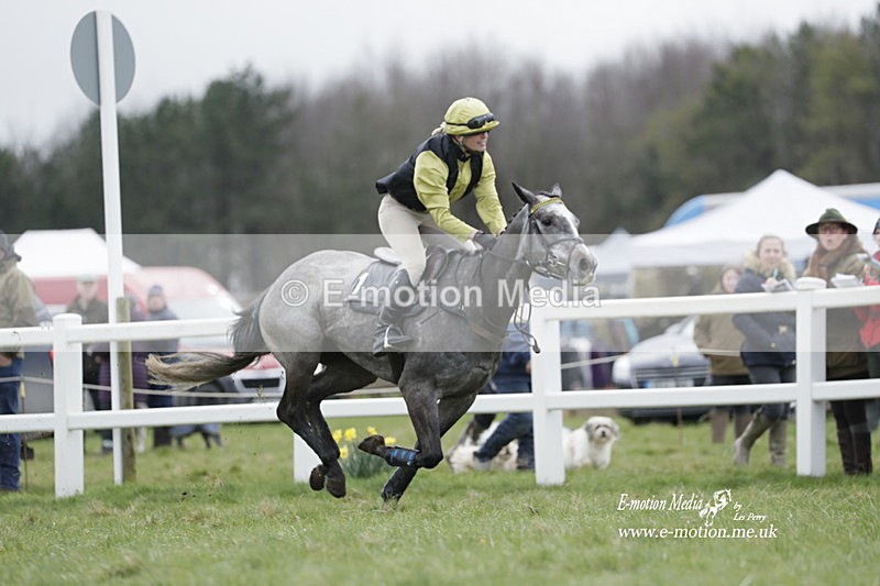 PtP 260323 0208 - New Forest Hounds Point-to-Point Larkhill 26/03/23