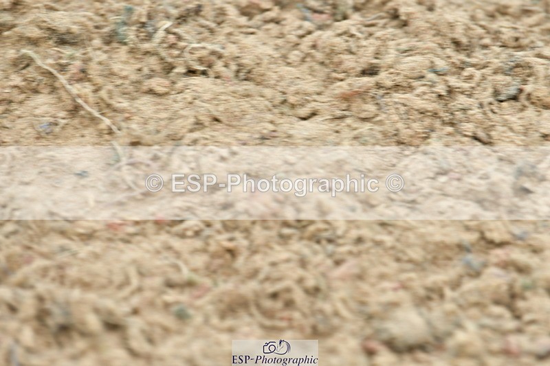 230804A-124657-02629 - Showjumping Competition