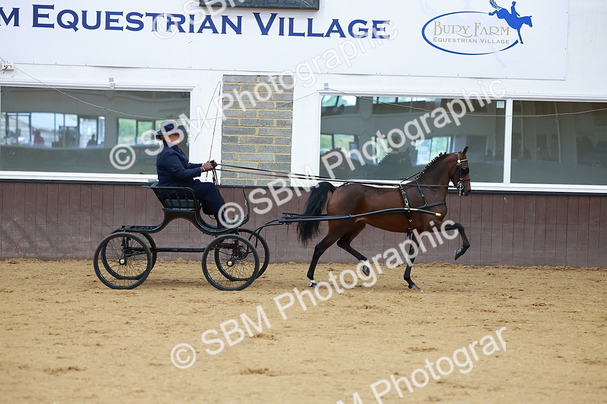 SBM_000612 - Class 9 - HHS Championship Intl Hackney Pony to a Showwagon