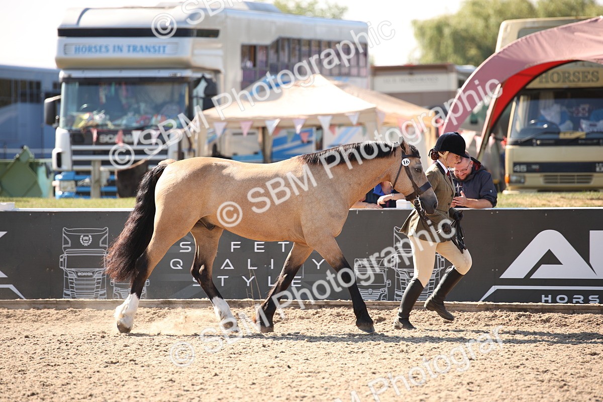 SBM_02668 - Class 16 IH M&M Wildcard