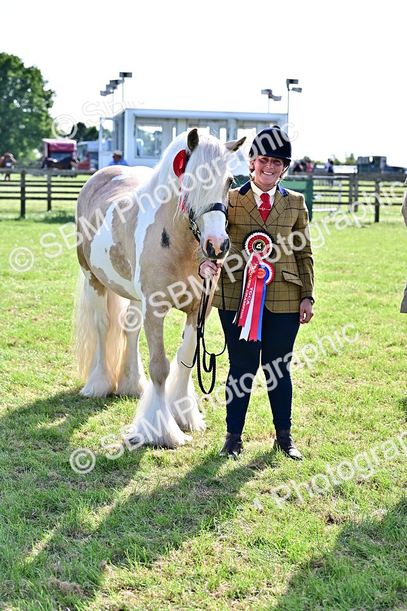 SBM_10162 - Class 63-65 - Traditional Gypsy Cobs In Hand & Ridden