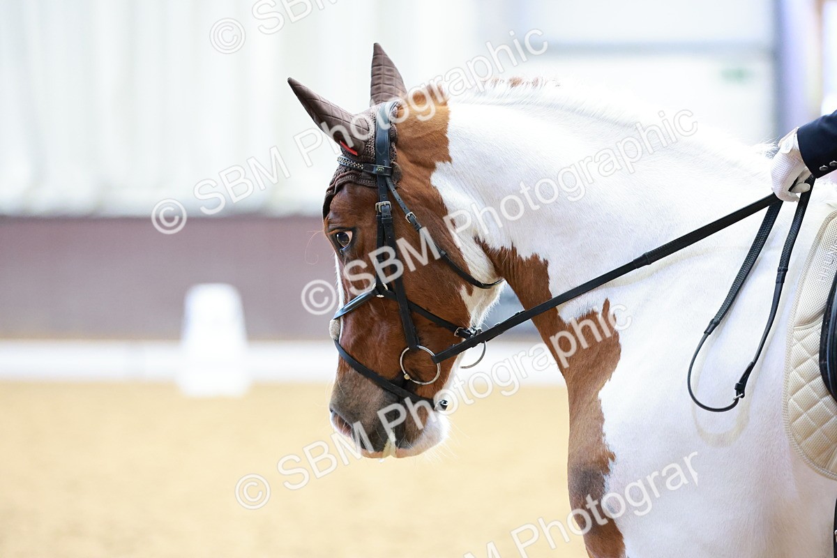 0B8A4012 - Class 3-6-9 - Prel Nov Ele - FSM