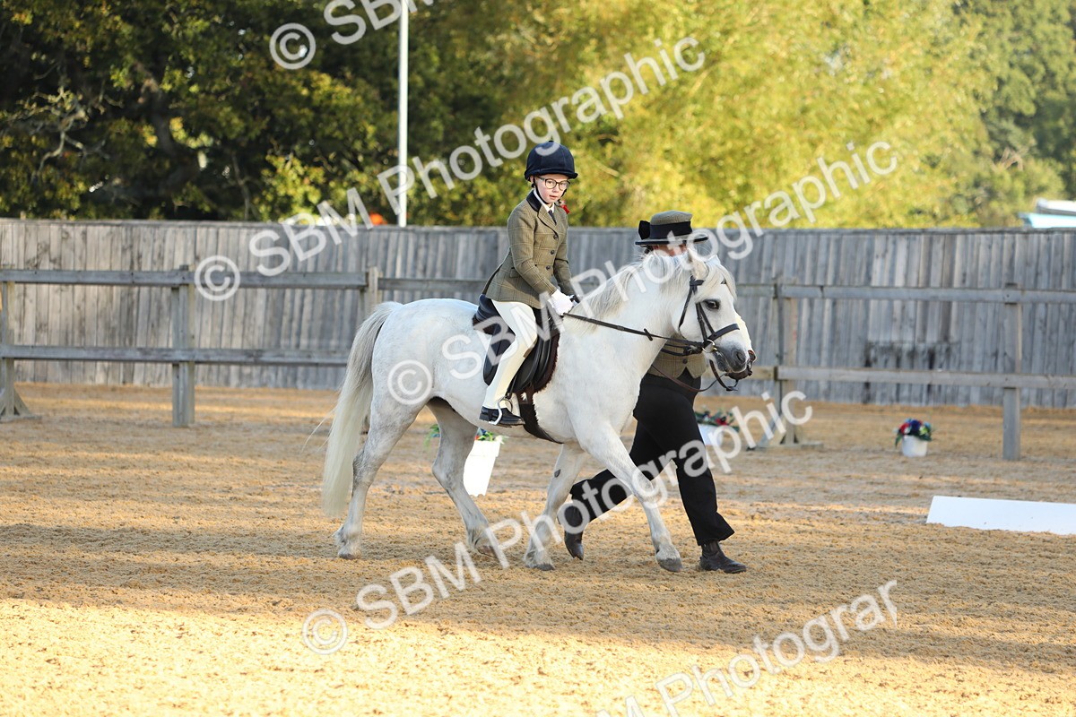 SBM_33601 - D26 - Starers - Lead Rein