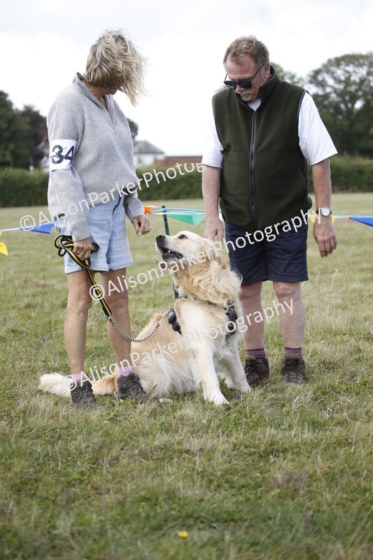 20250831-3624 - Dog Show