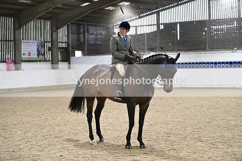 WJ7_4333 - Class 17 Ridden Cob