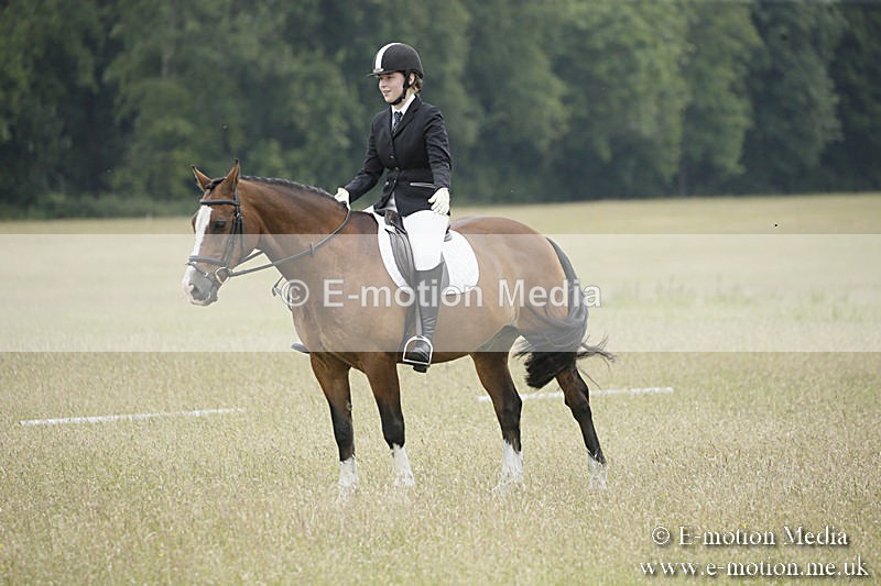 B230619-0678 - Bourne Valley Riding Club Summer Show 23/06/19