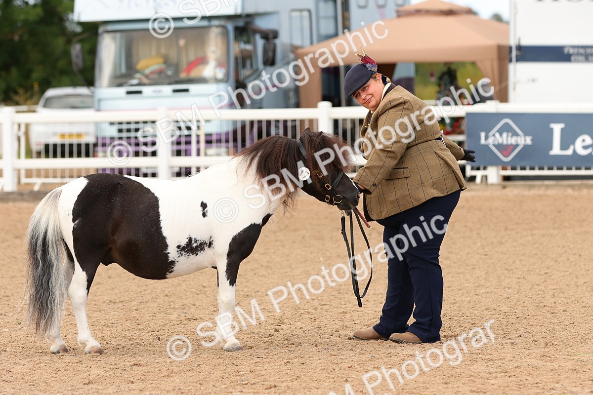 SBM_10289 - Class 206 - IH Non Show Type Pony