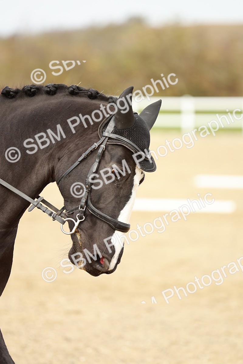 SBM_002089 - Class 6 - Prelim 2