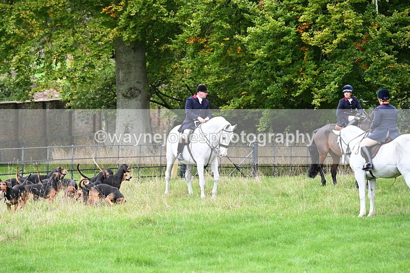 WJ6_0129 - Camera 2 Meet