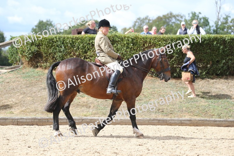 20260831-2702 - Class 16 and 17- Ridden Cob and Hunters