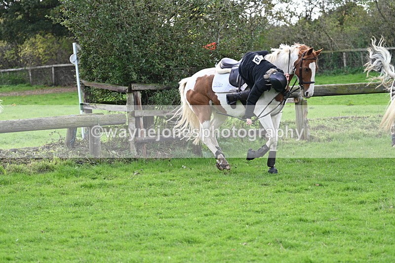 WJ7_8275 - Time 12:12 to 12:37