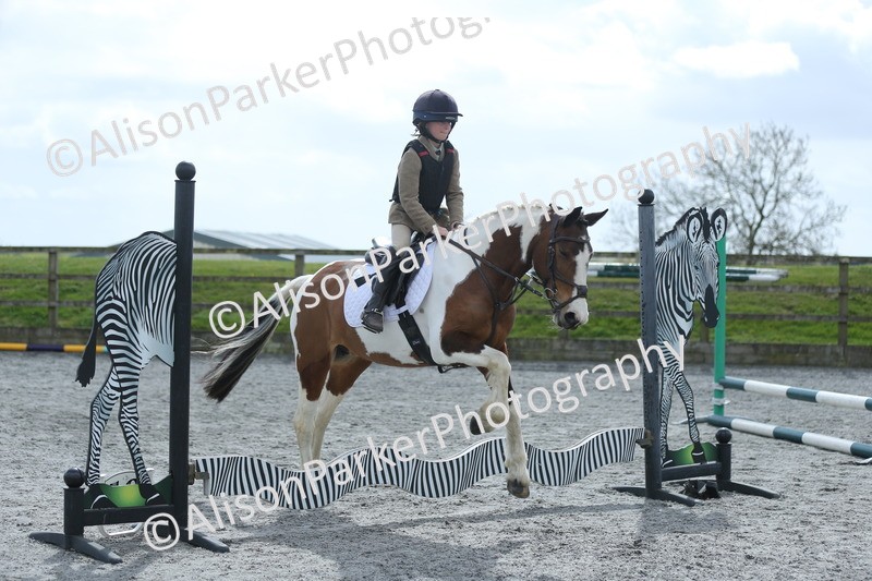 20260412-0733 - Show Jumping