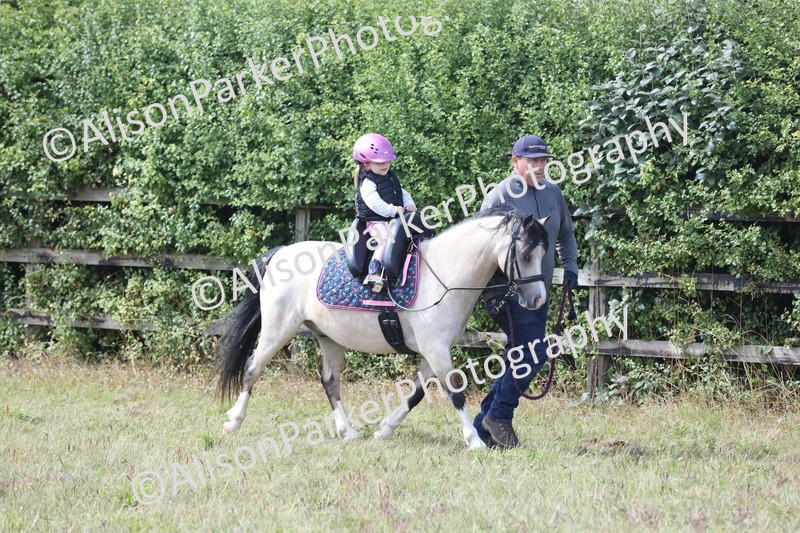 20250831-3282 - Class 24 - Absolute Beginners Pony
