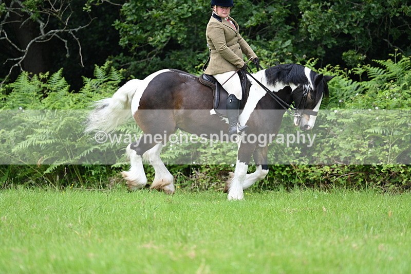 WJ7_2364 - Class 12A Coloured Class