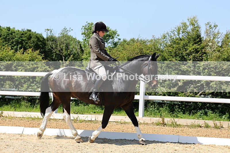 1X9A1445 - Class 10: Ridden Veteran