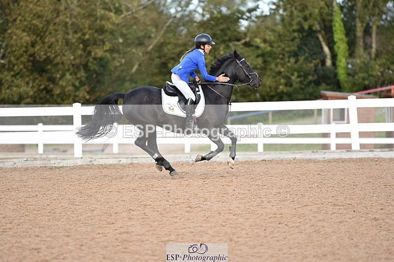 231015A-134016-08389 - Cls 25 95cm Amateur Q 2nd R