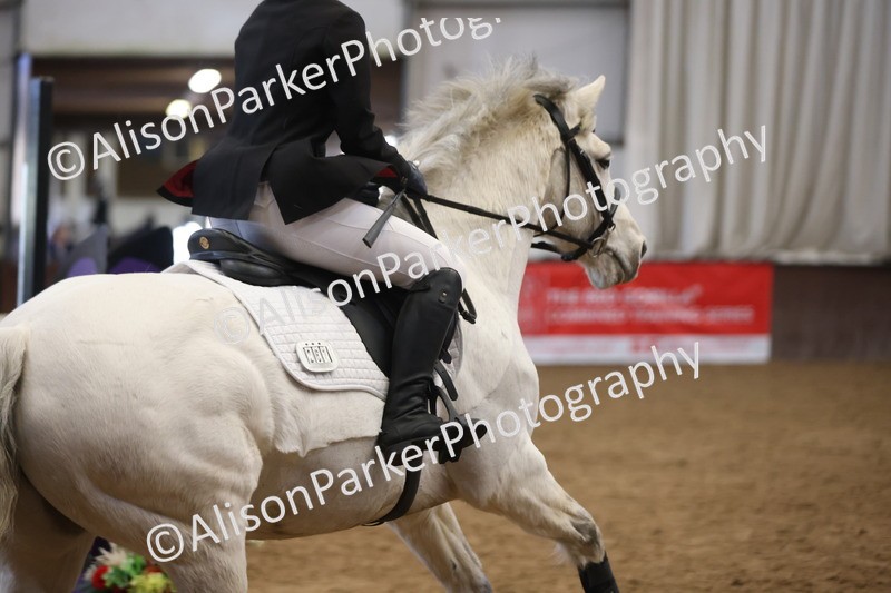 20260314-5719 - 80cm