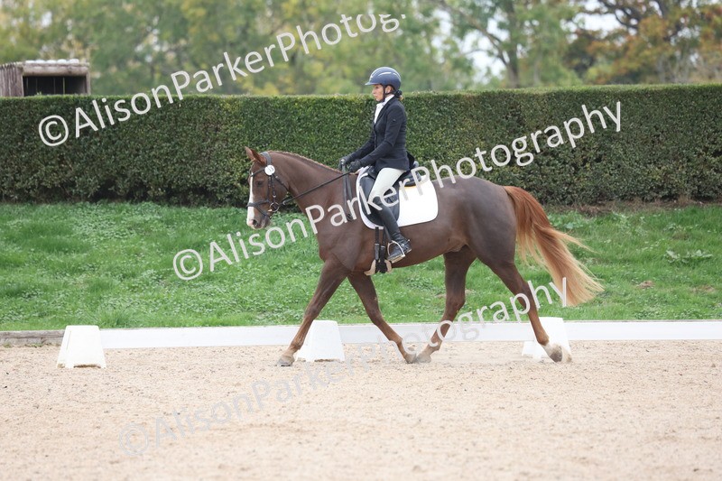 20251011-0382 - Class 4 - Novice 2