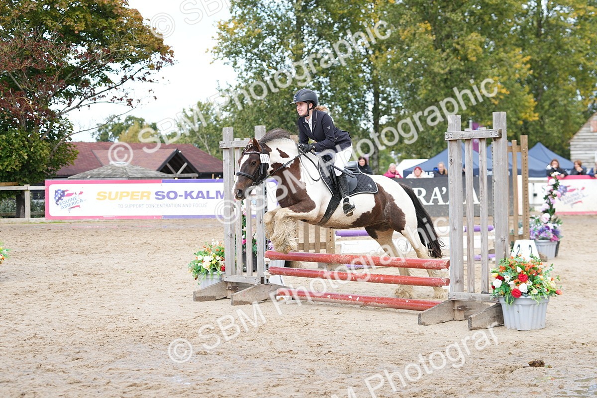 SBM_40729 - Supreme Championship Pony 50-55cm
