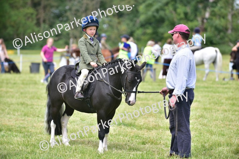 20260614-1379 - Class 11b - Lead Rein Pony (Plaited)