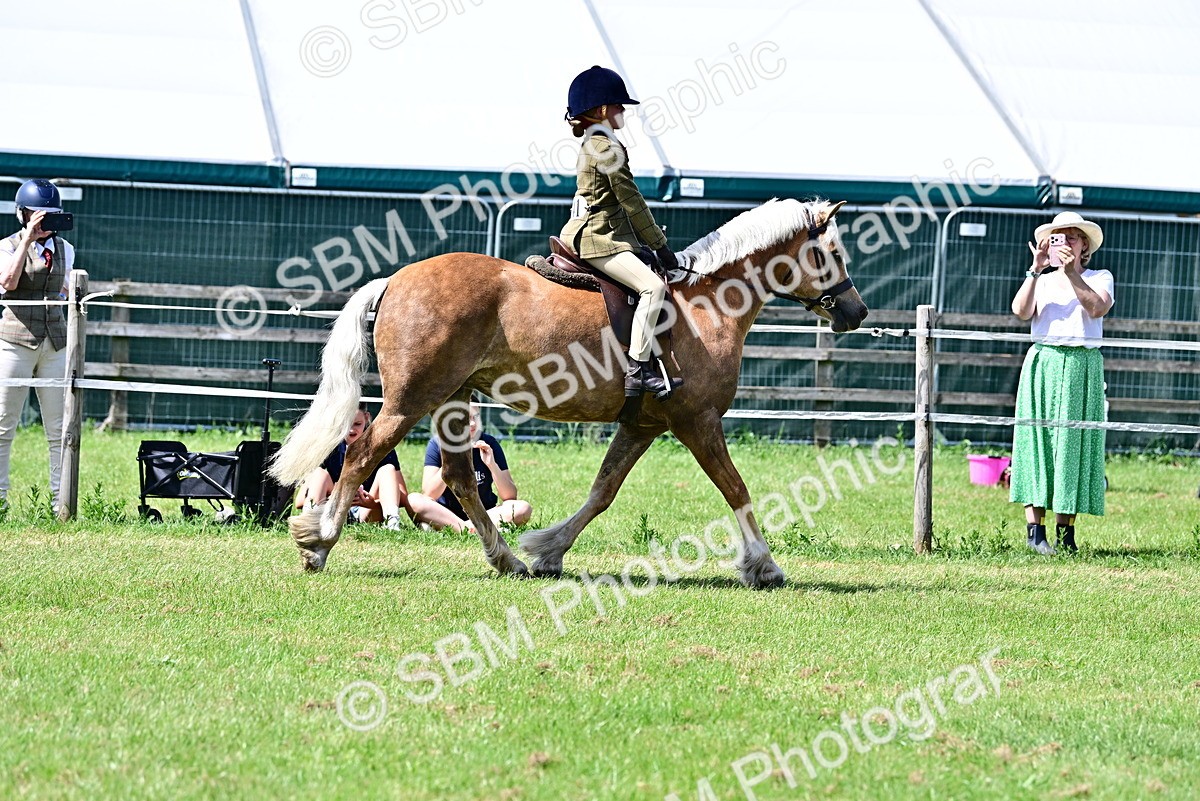 SBM_07880 - Class 61-62 - TSR  M&M Ridden Amateur of the Year